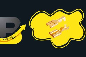 چالش‌ها و مشکلات رایج در استفاده از سرسیم‌ها